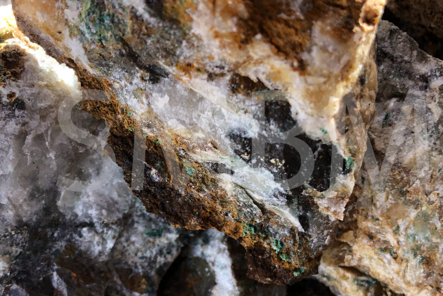 01-COPPER-IMG_7929